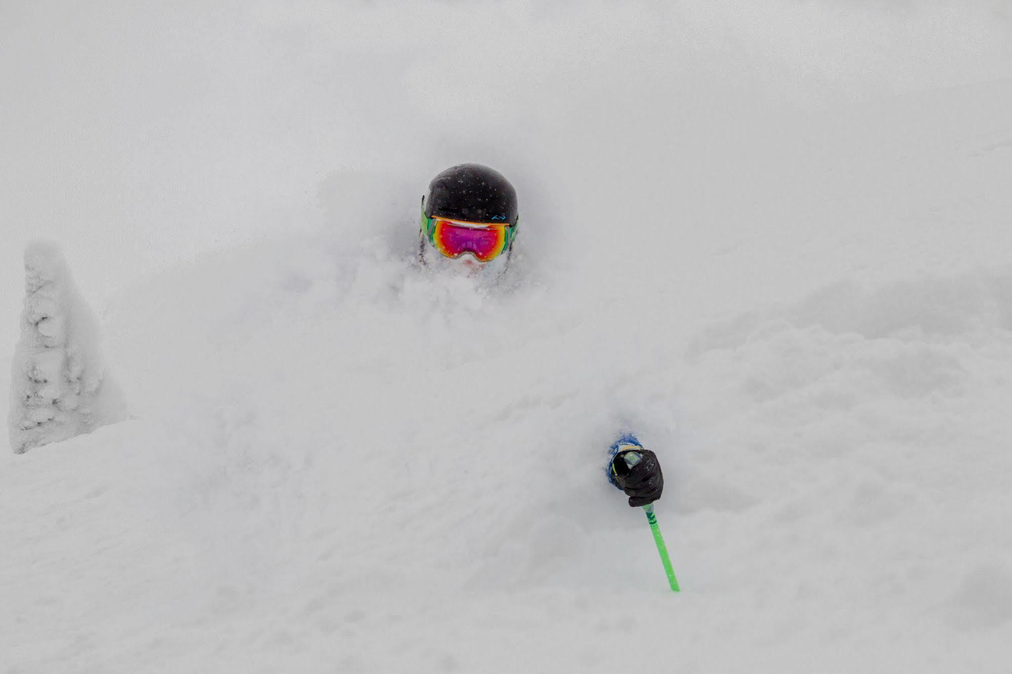 Teewinot Lodge By Grand Targhee Resort Alta Екстер'єр фото